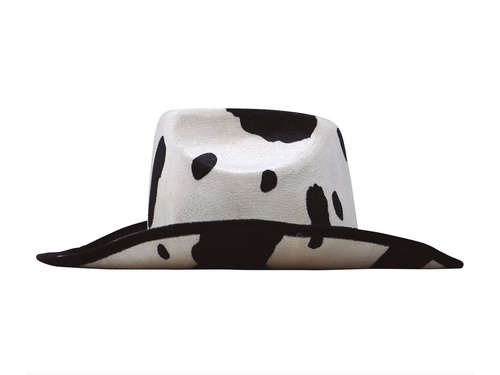 Velvet cowboy hat