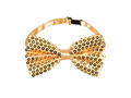 Gold accessory set
