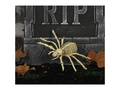 Spider skeleton - 24 cm - 1 pc.