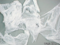 Chenille Sppiderweb