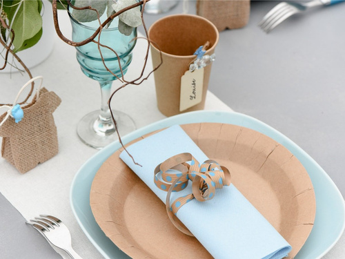 Talerzyki kraftowe - 22,5 cm - 10 szt.