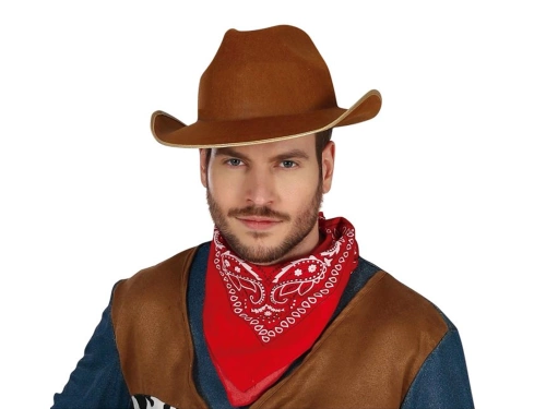 Cowboy costume