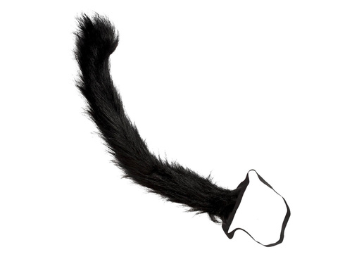 Black Cat Tail
