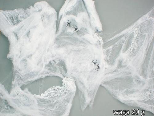 Chenille Sppiderweb