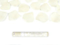 Shooting tube, cream artificial rose petals, 40 cm, 1 pcs.