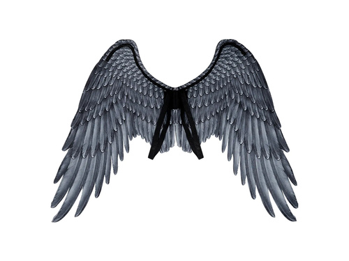 Angel wings grey 65 x 65
