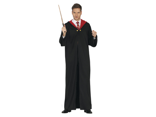 Costume Harry Potter