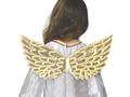 Gold Angel Wings - 44 cm
