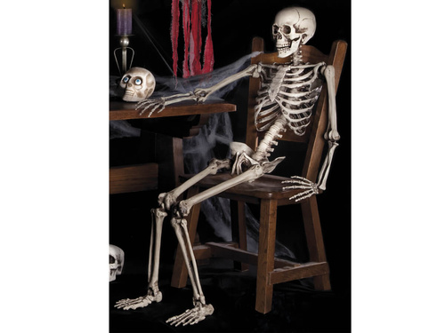 Skeleton Pendant - 160 cm
