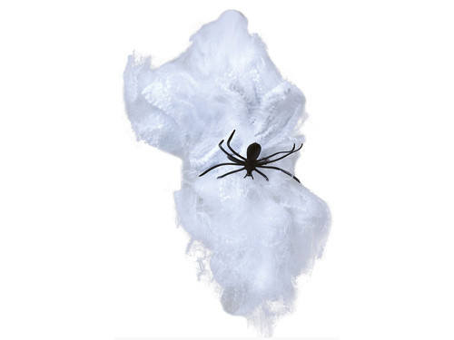 Halloween Spiders & Webs - 1 pc