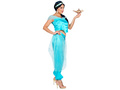 Arabian princess costume
