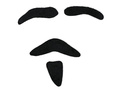 Black goatee, moustache and eyebrows