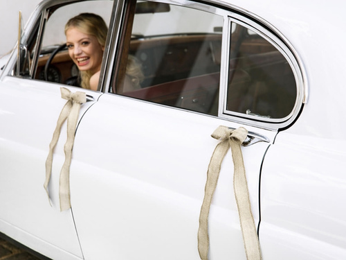 A set of car decorations Bows - 4 elements.