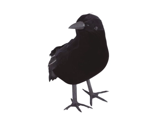 Black crow - 25 cm - 1 pc
