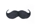 Moustache