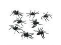 Spiders Decoration