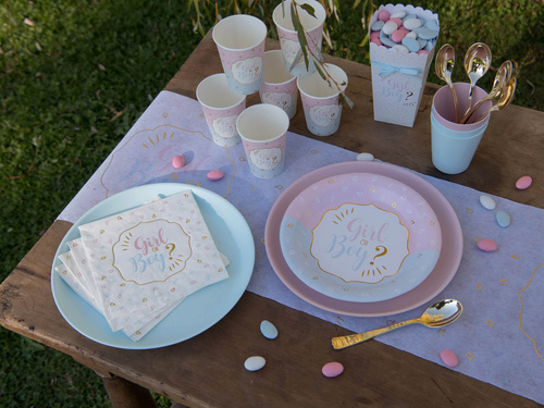 Talerzyki papierowe na Baby Shower Gender reveal Girl or Boy?  - 22,5 cm - 10 szt.