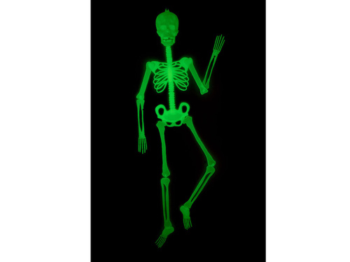 Fluorescencyjny szkielet - 150 cm