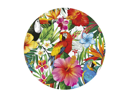 Plates - 23 cm - 6 pcs