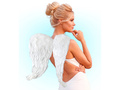 Angel wings white - 60 x 46 cm