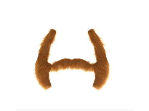 Moustache and sideburns