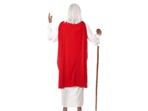 Druidess costume