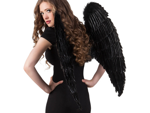 Angel wings black 87 x 72