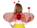 Ladybug wings with tiara and wand