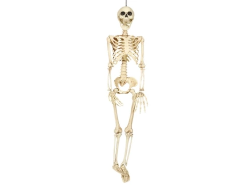 Skeleton Pendant - 90 cm