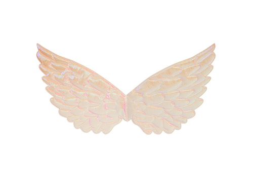 Pearl Angel Wings - 23 x 45 cm