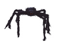 Black Spider 150 cm