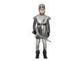 Medieval Knight costume