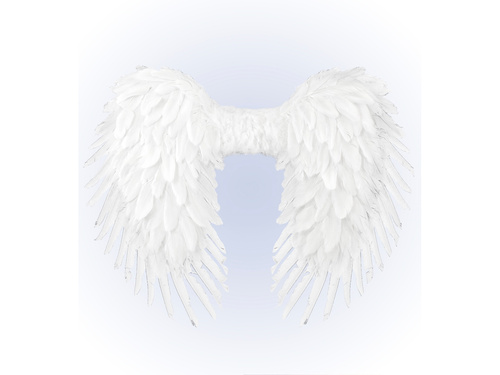 Angel wings white - 65 x 65 cm