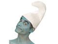 White dwarf hat