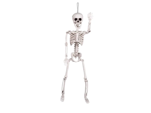 Skeleton Pendant - 60 cm