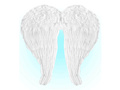 Angel wings white - 67 x 64 cm