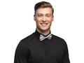 Silver bow-tie - 1 pc