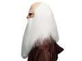 Wig Wise man