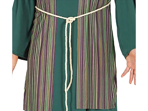 Joseph costume for a man - green
