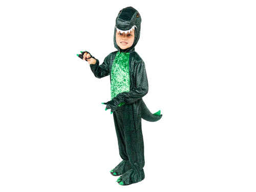 Dinosaur costume for baby