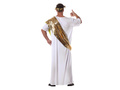 Caesar Costume