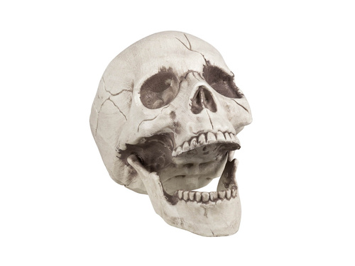 Skull 21 cm - 1 pc