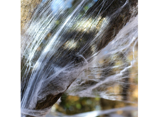 Halloween Spiderweb with spiders - 500 g- 1 pc