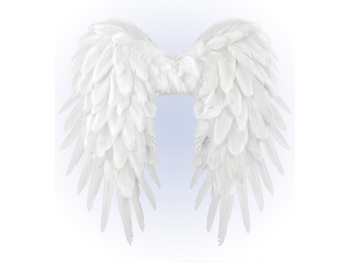 Angel wings white - 65 x 65 cm