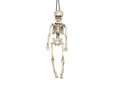 Skeleton Pendant - 40 cm