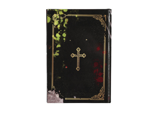 Book Exorcism for dummies 22x15 cm