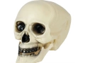 Skull 20 cm - 1 pc