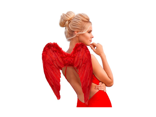 Czerwone skrzydła z piór 50×40 cm