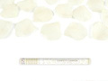 Shooting tube, cream artificial rose petals, 60 cm, 1 pcs.