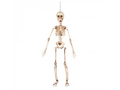 Hanging decoration Movable skeleton - 50 cm - 1 pc